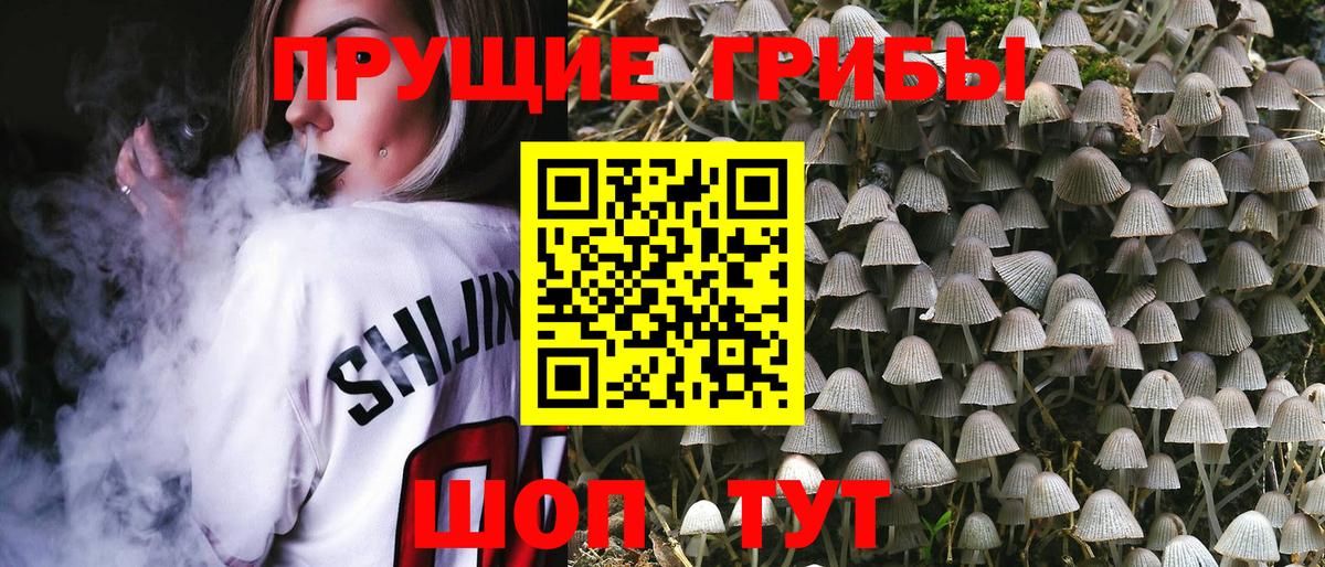 Вышний Волочёк  Псилоцибиновые грибы Psilocybine cubensis  Вход с VPN  Галлюциногенные грибы Psilocybe 