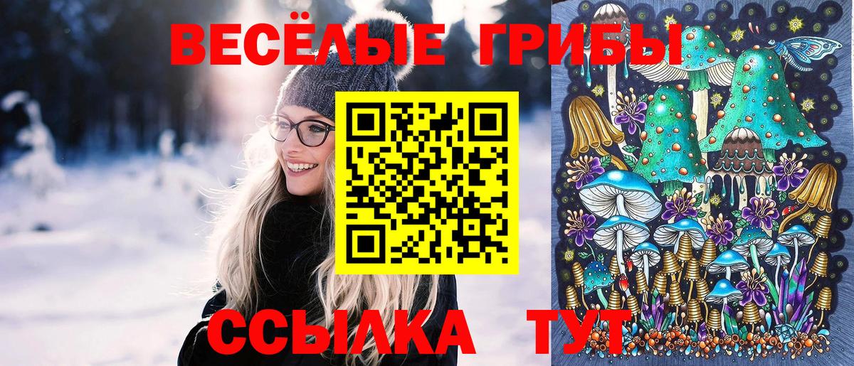 Псилоцибиновые грибы Magic Shrooms Вышний Волочёк